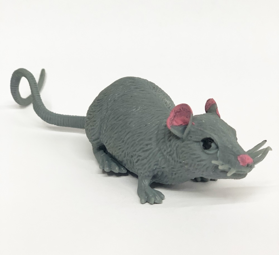 Мышь - Animal World