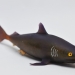 Тупорылая акула (меняет цвет в зависимости от температуры)