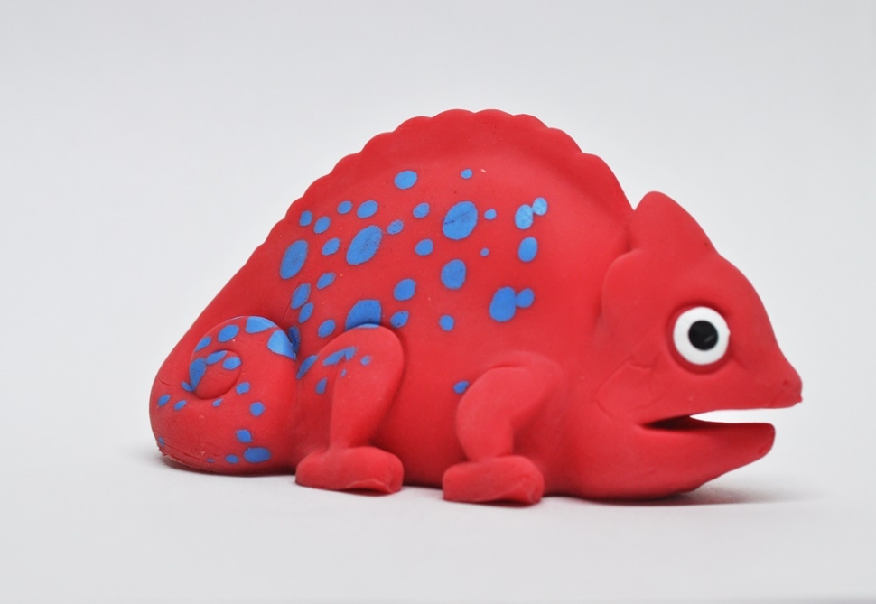 Гребешковый Хамелеон - Гекконы и Хамелеоны