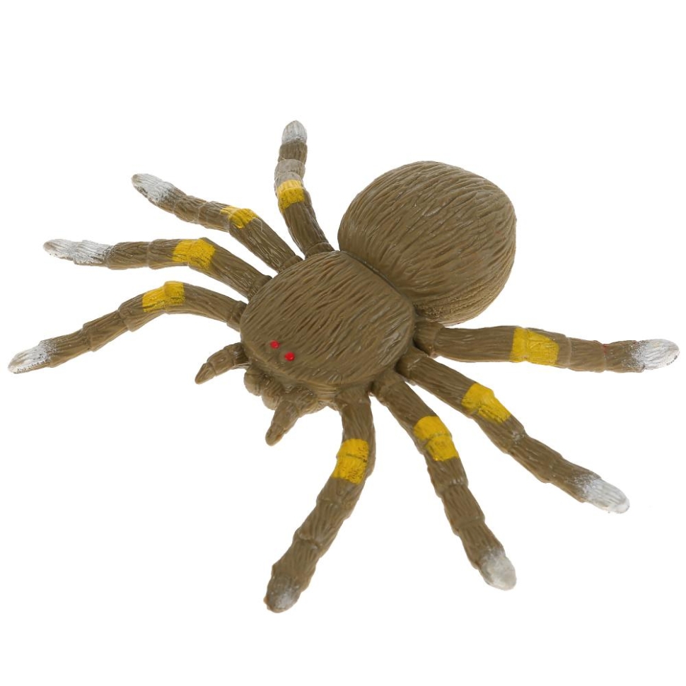 Тарантул - Animal World