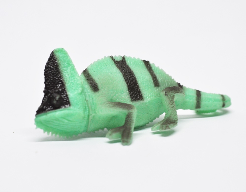 Йеменский хамелеон (меняет цвет на солнце)     - Хамелеоны и Ко