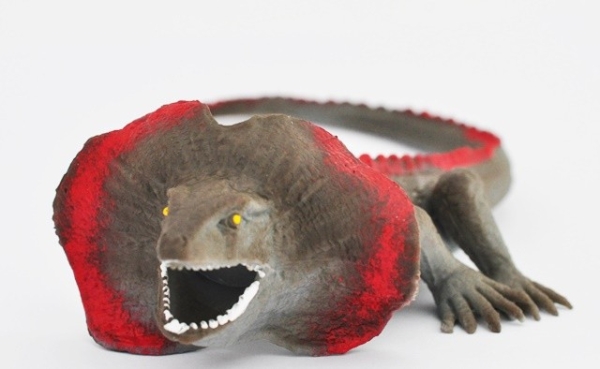 Ушастая круглоголовка (меняют цвет на солнце) - Гигантские ящерицы, Big Animal World