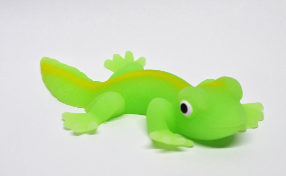 Полосатый геккон (меняет цвет на солнце) - Гекконы и Хамелеоны