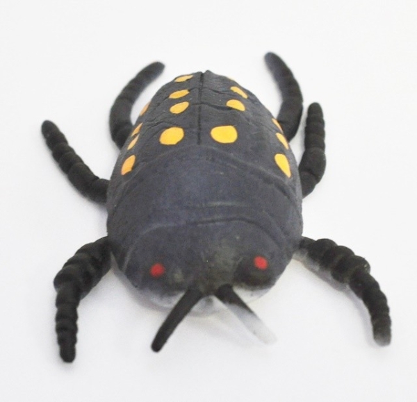 Навозный жук, (меняет цвет в тепле) - Жуки и стрекозы, Big Animal World