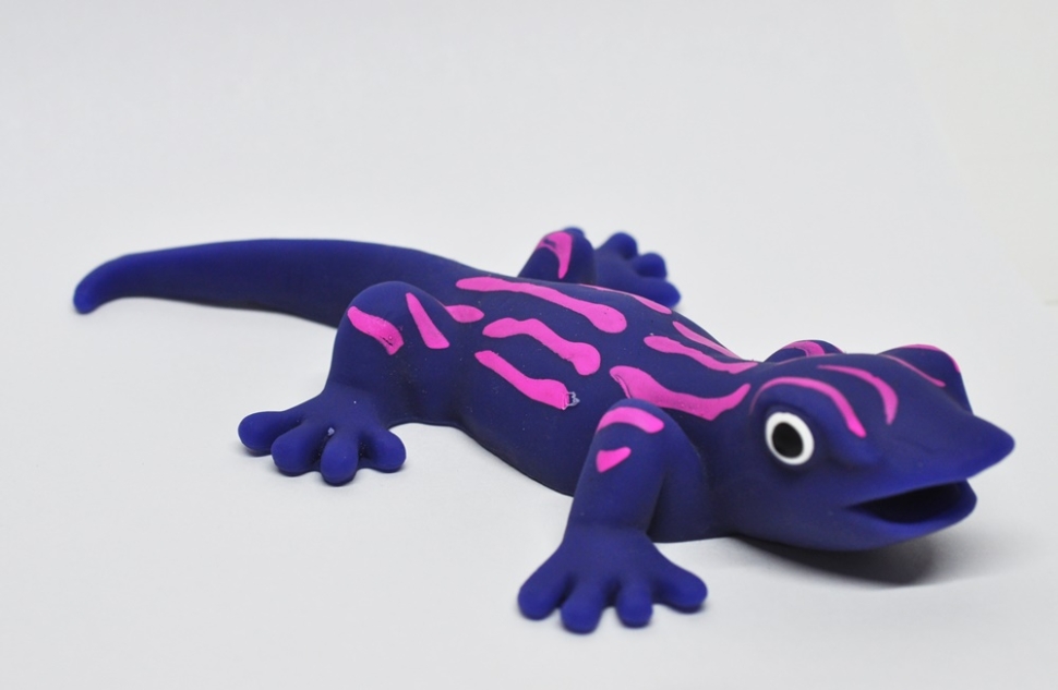 Тонкопалый геккон - Гекконы и Хамелеоны