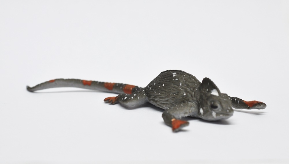 Пустынный хамелеон (меняет цвет в воде) - Волшебные ящерицы