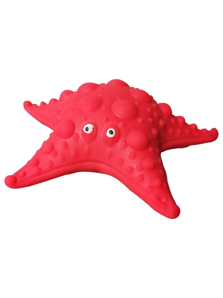 Морская звезда - Повелители Карибского моря