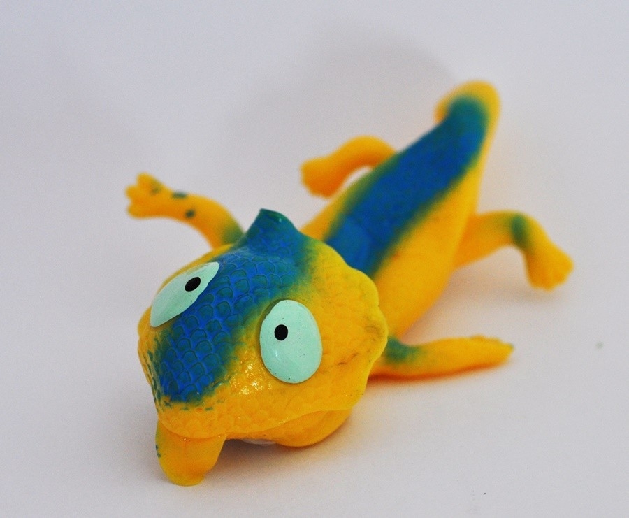 Tiliqua rugosa, Короткохвостый сцинк - Geckos & Co Super shot