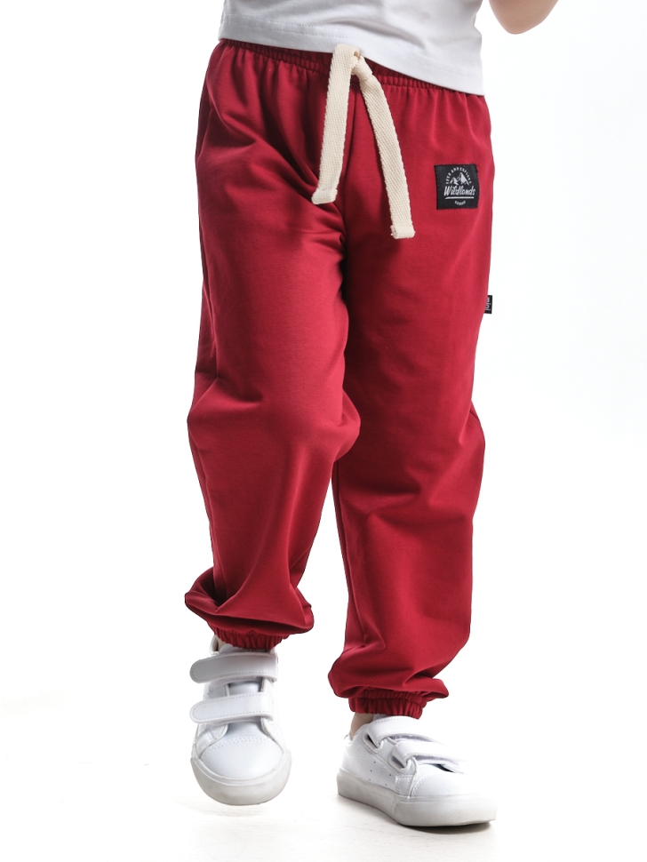 Джоггеры для мальчиков Mini Maxi, модель 9816, цвет бордовый - Брюки спортивные (джогеры)
