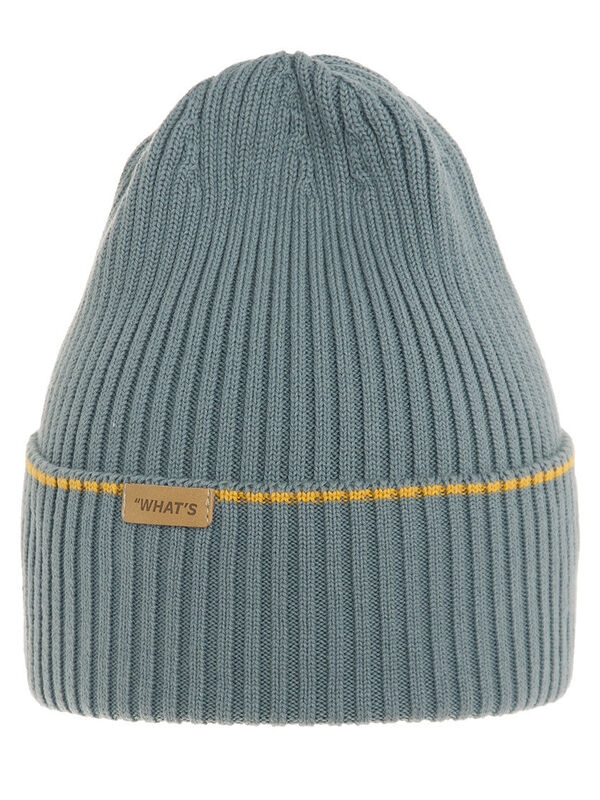 Шапка для мальчика Магистр, Миалт стальной, весна-осень - Шапки весна-осень