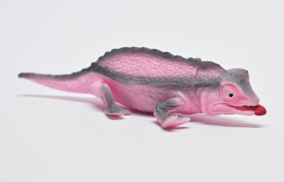 Карликовый хамелеон (меняет цвет на солнце)       