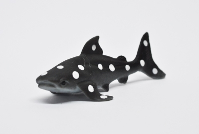 Плоскоголовая семижаберная акула (меняет цвет в теплой воде)  