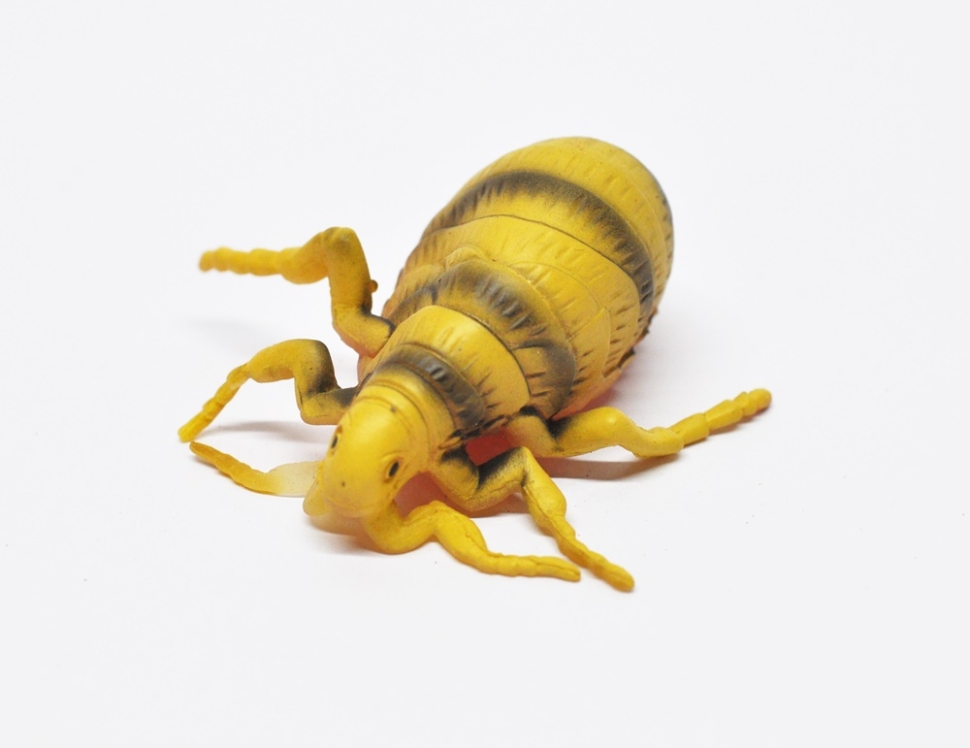 Блоха - Маленькие монстры