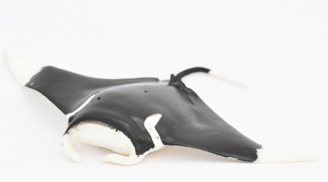 Гигантская манта - Морские гиганты & КО Макси