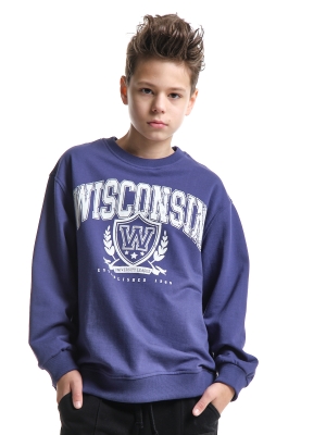 Свитшот для мальчиков Mini Maxi, модель 8064, цвет синий