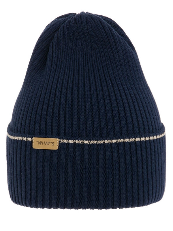 Шапка для мальчика Магистр, Миалт черное/море, весна-осень - Шапки весна-осень