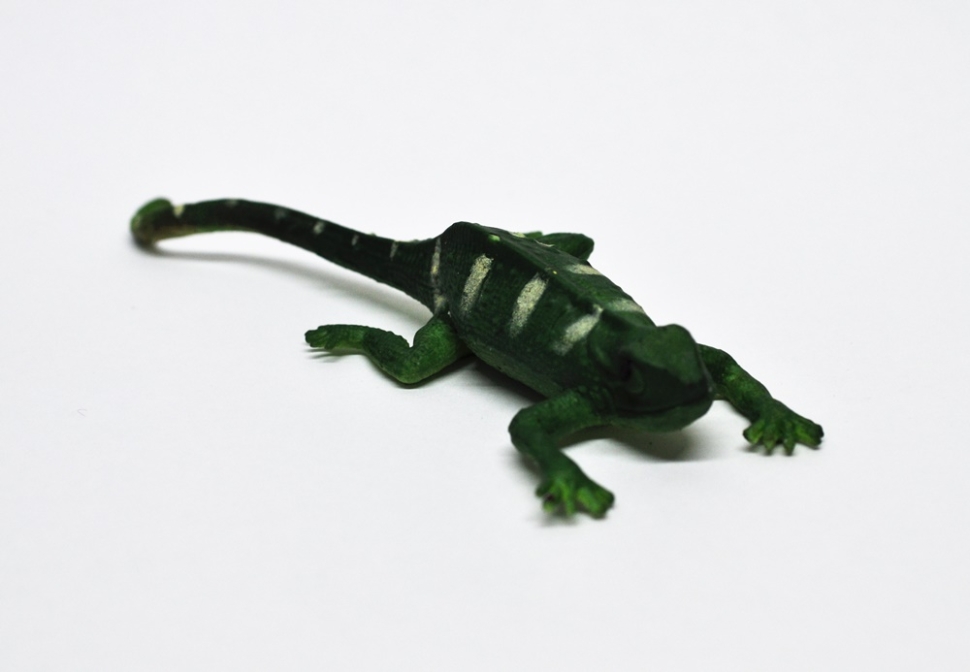 Фиджийская игуана (меняет цвет в воде)     - Волшебные ящерицы